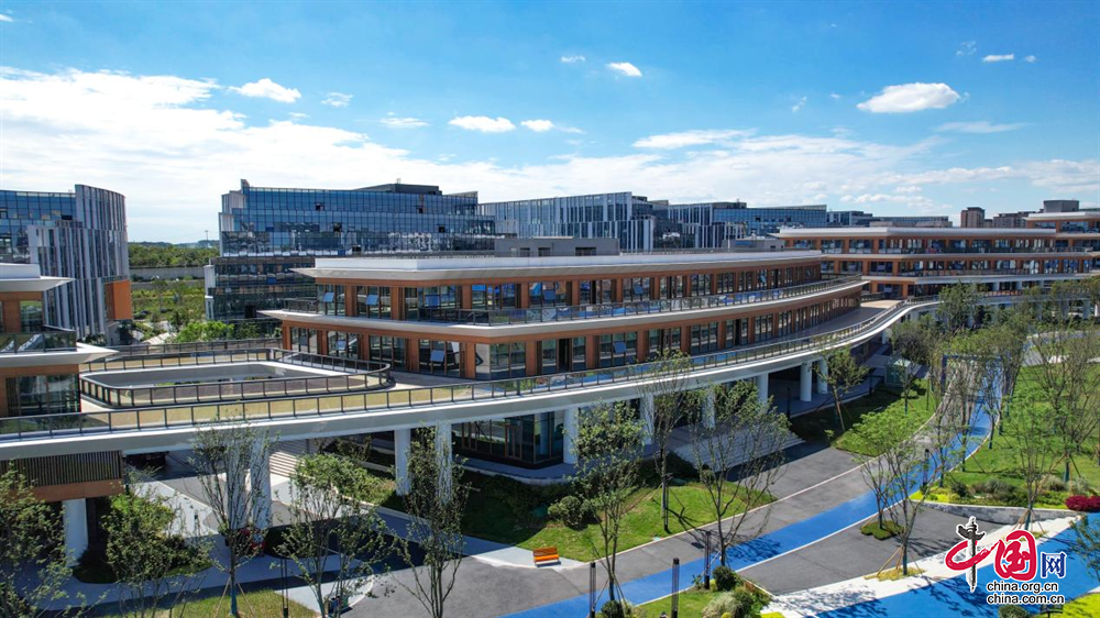成都市12345“亲清”直播间·高新专场：解读关于推动成都未来科技城主导产业“建圈强链”政策助力构建亲清新型政商关系(图2)