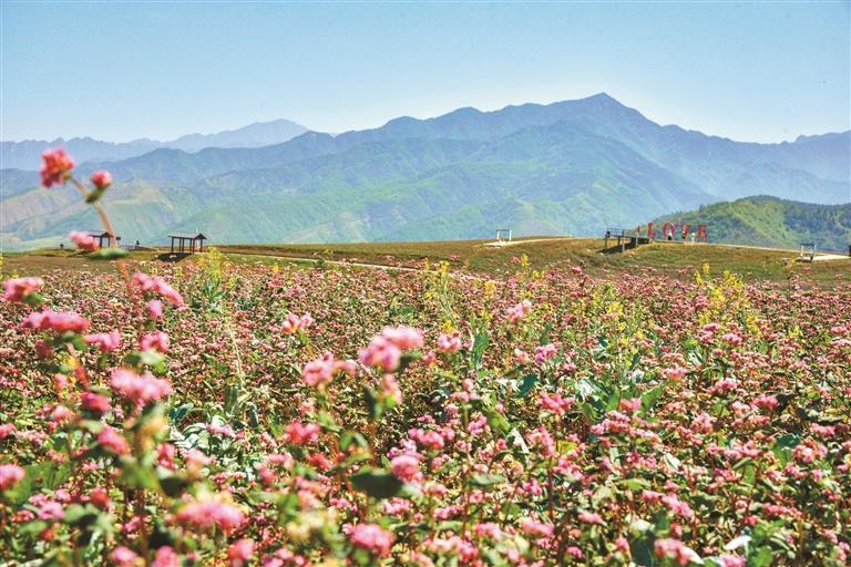 千万工程绘新景和美乡村入画来(图1)