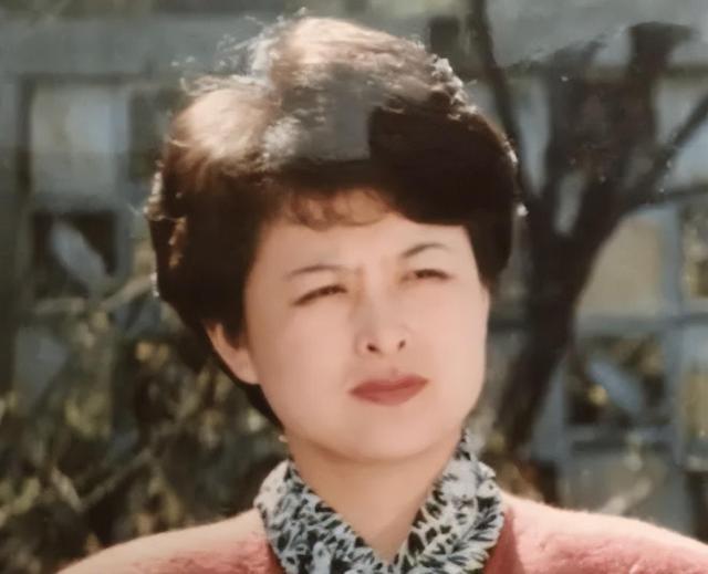 央视肖晓琳：退休5个月在美国儿子家死去临终25字遗言太深刻(图2)