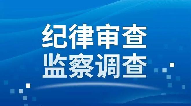 肖勇涉嫌严重违纪违法被查(图1)